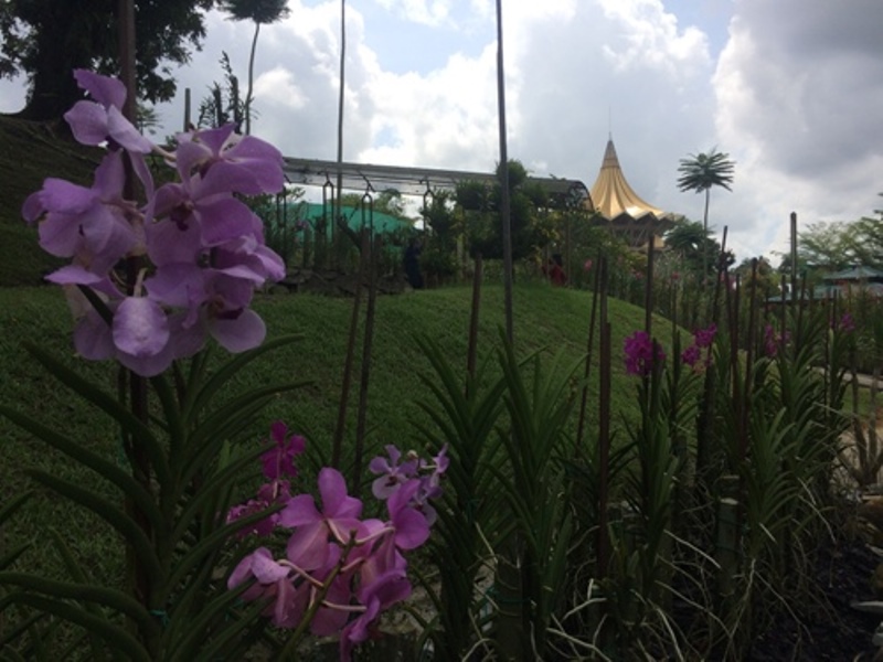 Taman Orchid Garden